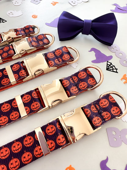 Sæt: Halloween Hundehalsbånd & Butterfly - Pumpkin Patch