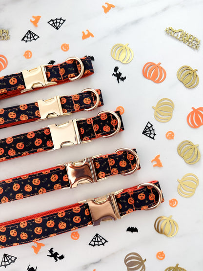 Sæt: Halloween Hundehalsbånd & Butterfly - Pumpkins!