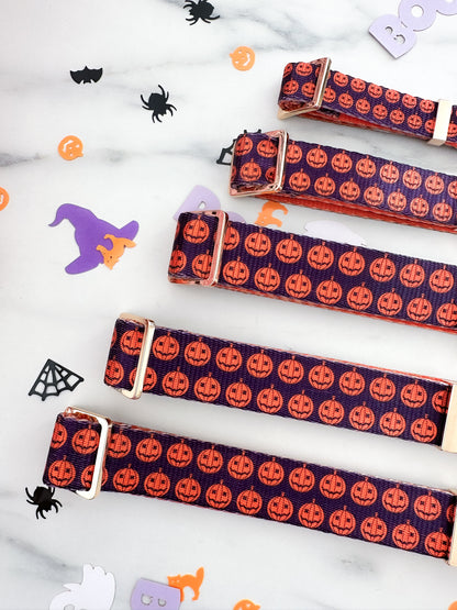 Halloween Hundehalsbånd - Pumpkin Patch