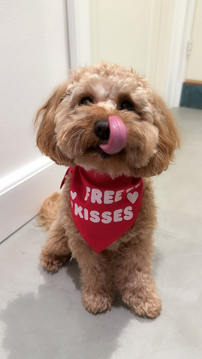 Valentines Bandana - Free Kisses