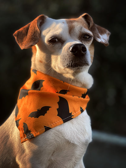 Flagermus - Halloween Bandana til hund