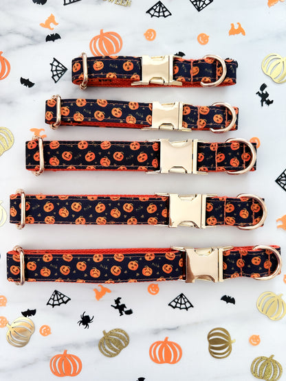 Sæt: Halloween Hundehalsbånd & Butterfly - Pumpkins!