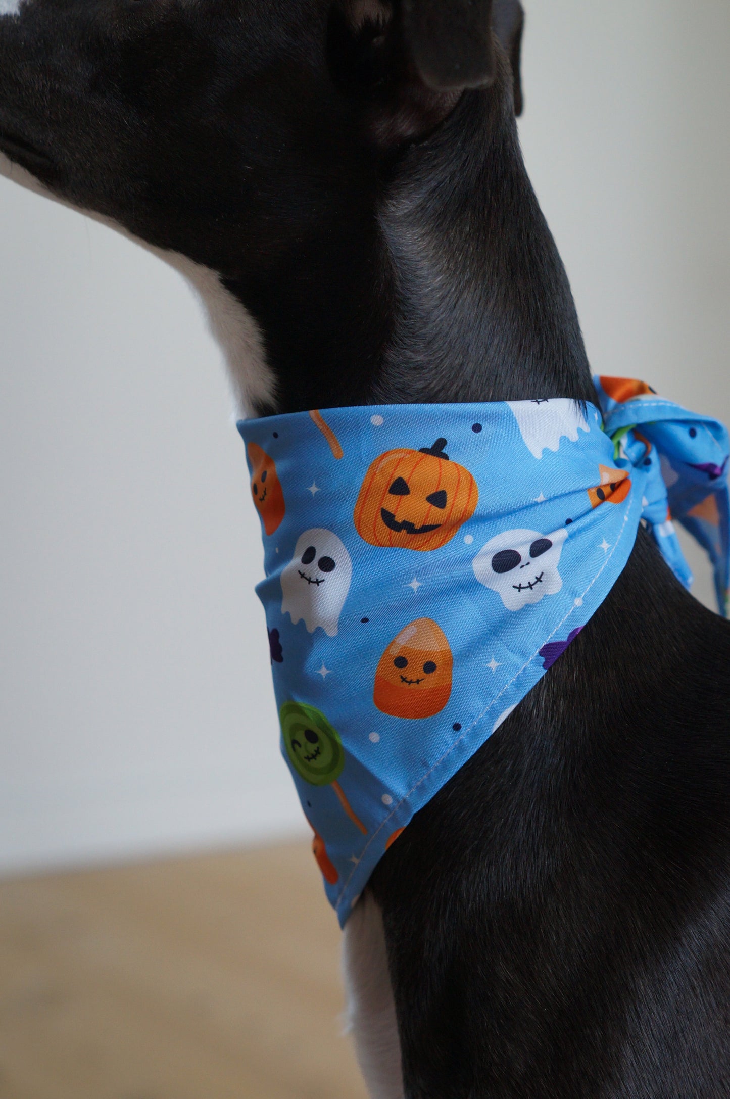 Spooky Blue - Halloween Bandana til hund
