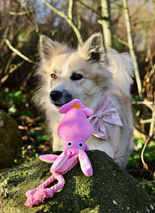 Blæksprutte - Hundelegetøj
