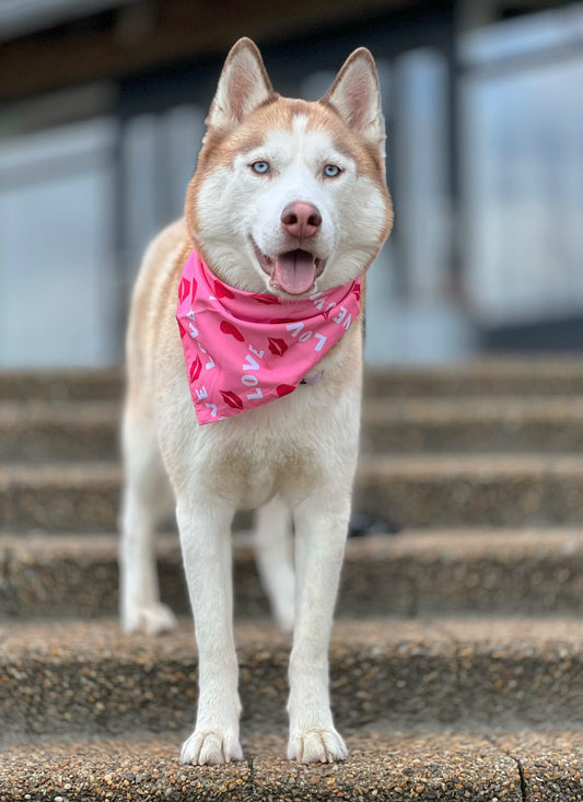 Valentines Bandana - Love