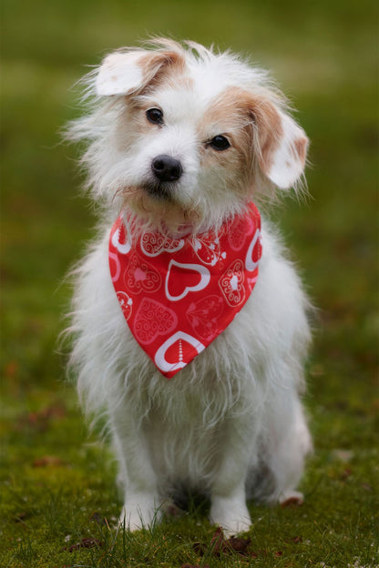 Valentines Bandana - Hjerter