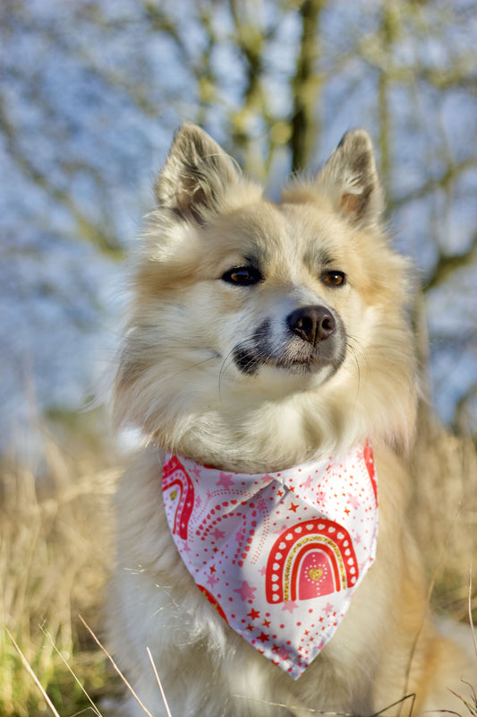 Valentines Bandana - Rainbow Love