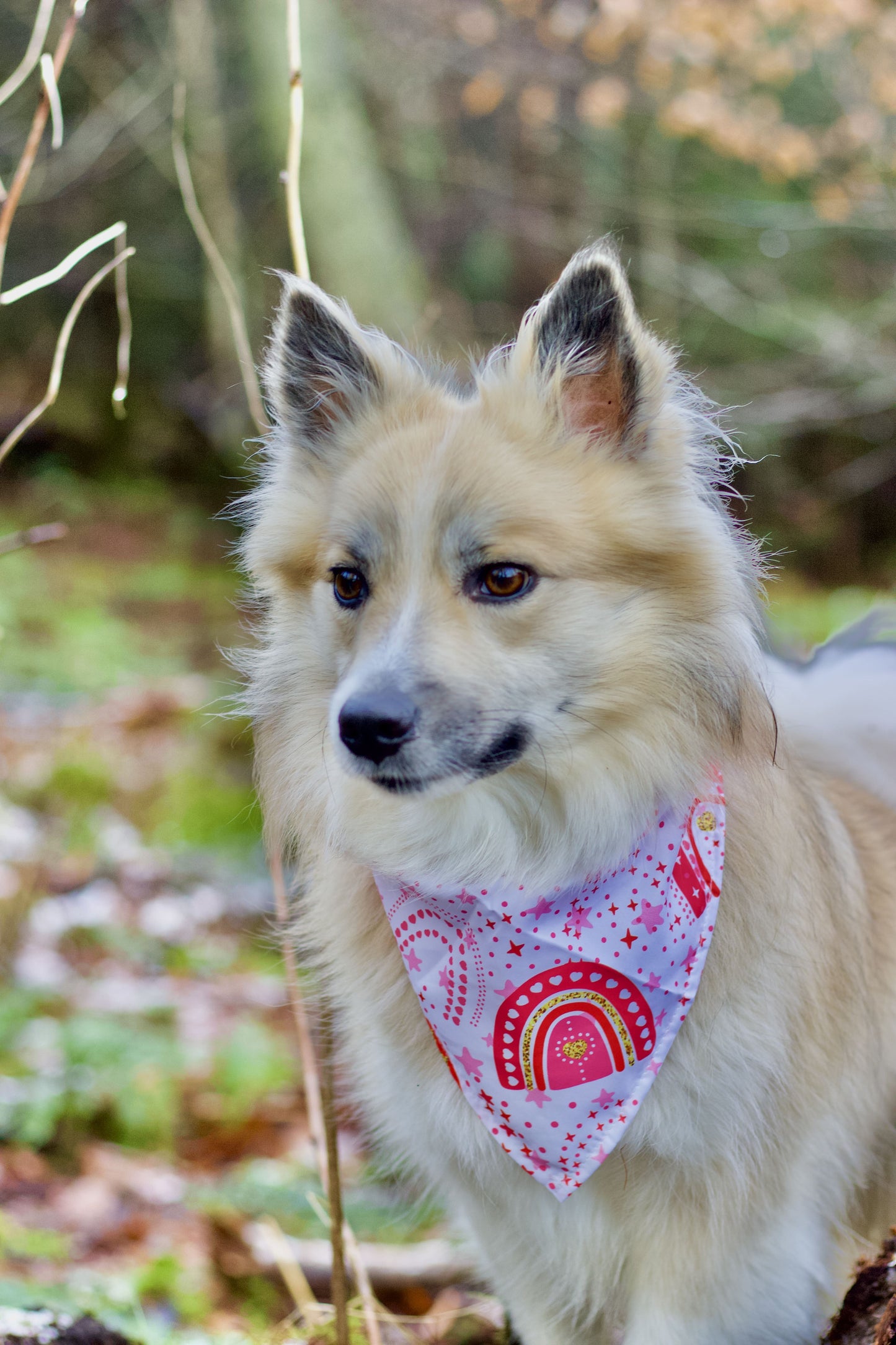 Valentines Bandana - Rainbow Love