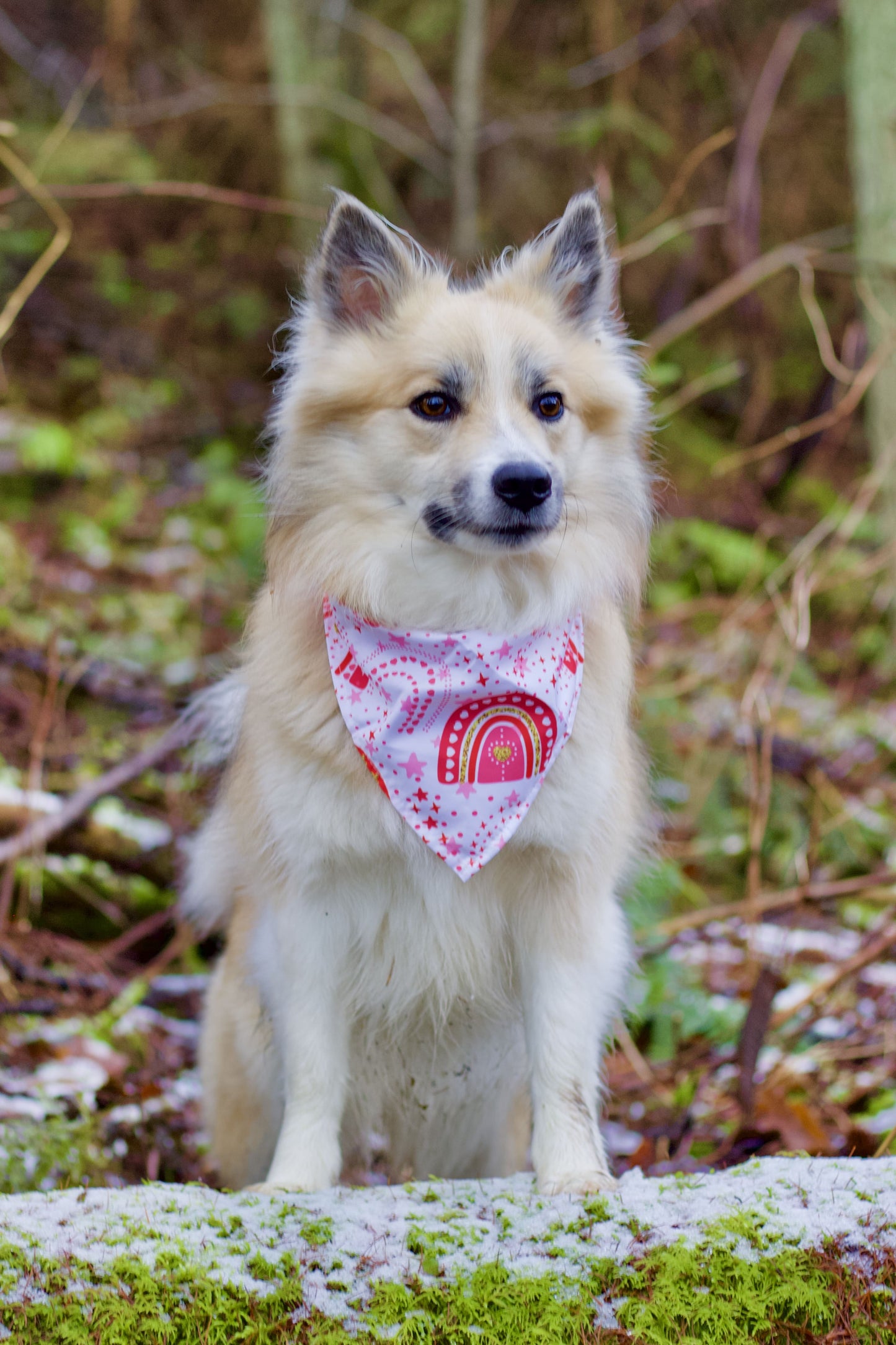 Valentines Bandana - Rainbow Love