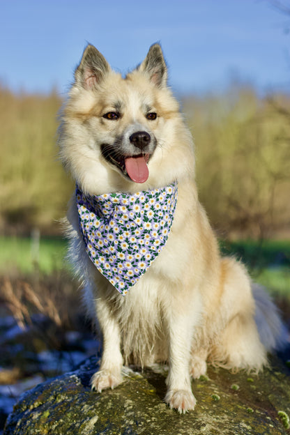 Bandana - Lavender Flowers