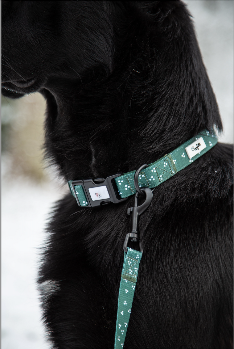fajance ingeniør Generalife Sæt: Hundesele, hundehalsbånd, hundesnor & poop-bag - Dots – Confetti Dogs