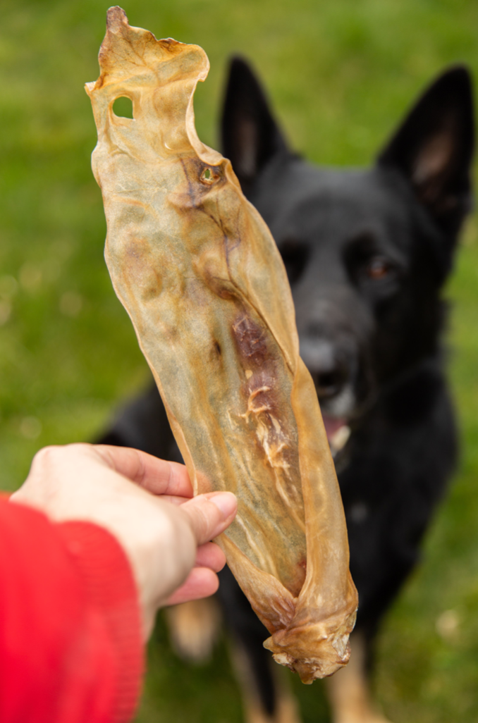 Gede-øre - 100% naturlig hundegodbid