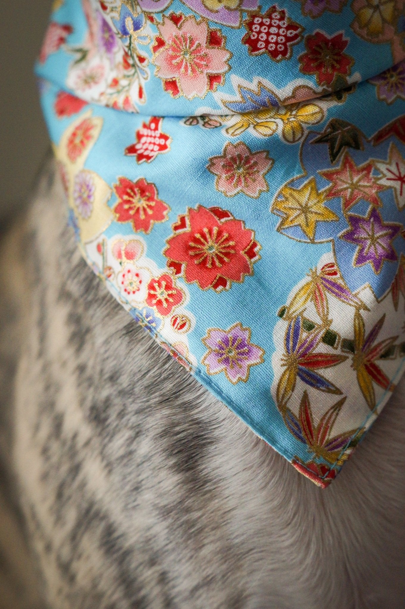 Bandana - Blue Blossom - Confetti Dogs