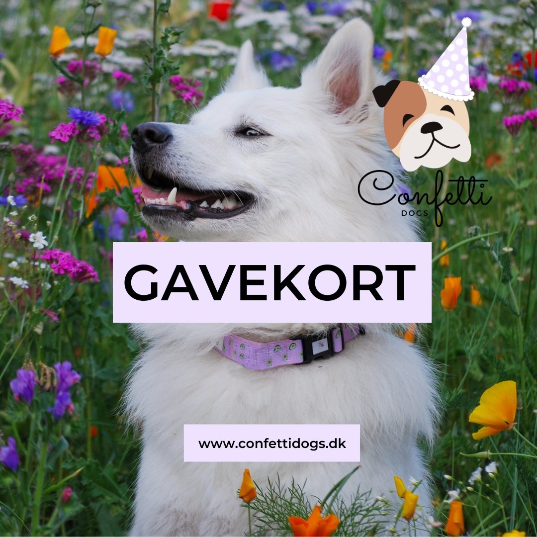 Gavekort - Confetti Dogs - Confetti Dogs