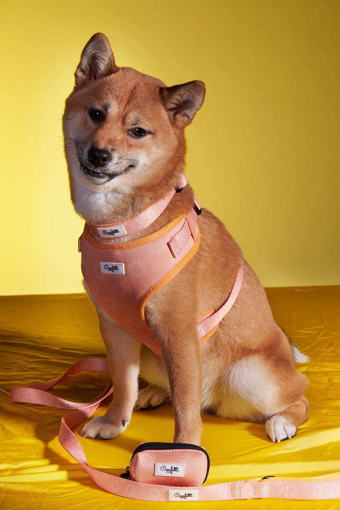 Hundesele, Halsbånd, Snor & Poop-bag - Hey Sunshine - Confetti Dogs