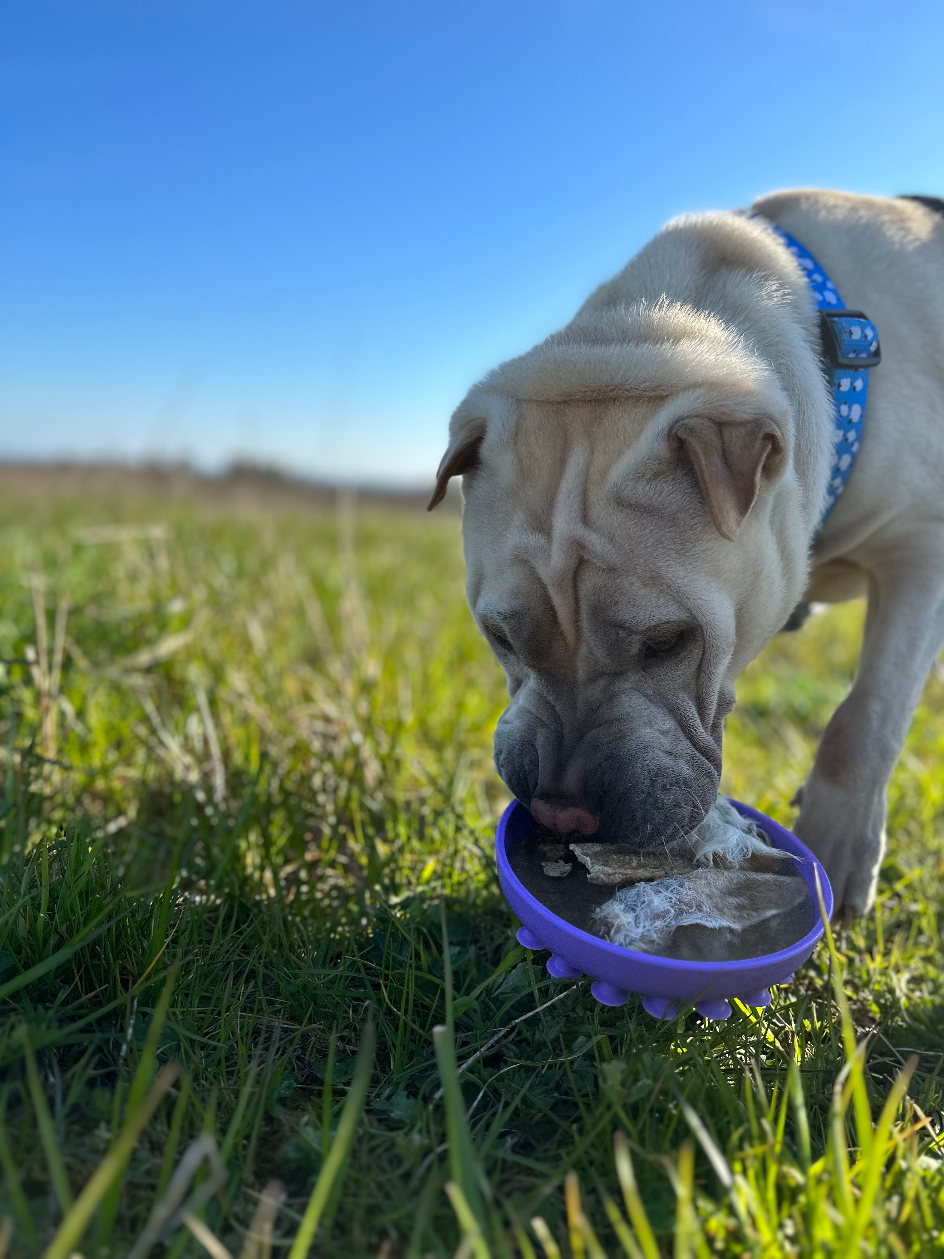 Slowfeeder & Slikkemåtte Til Hund - Stort Udvalg & Hurtig Levering ...