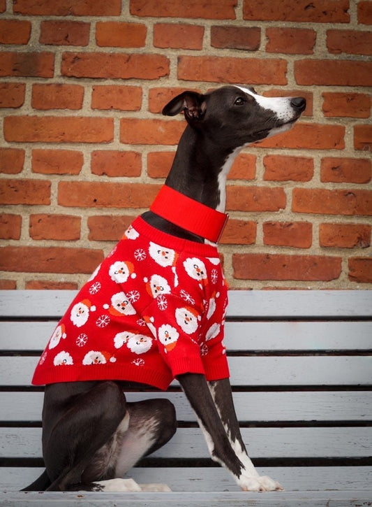 Julesweater til hund - Confetti Dogs