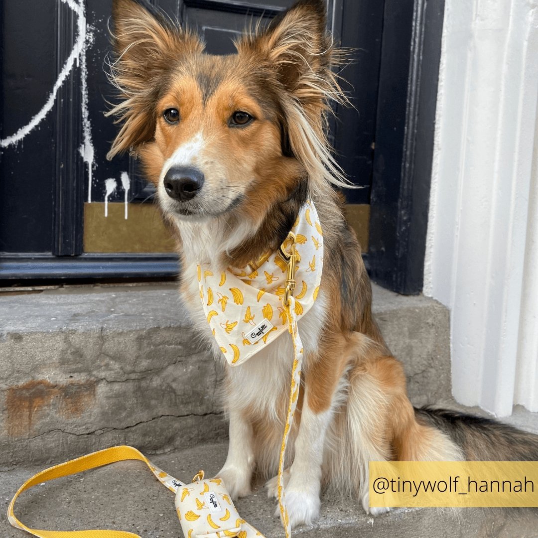 Poop-bag - Go Bananas - Confetti Dogs